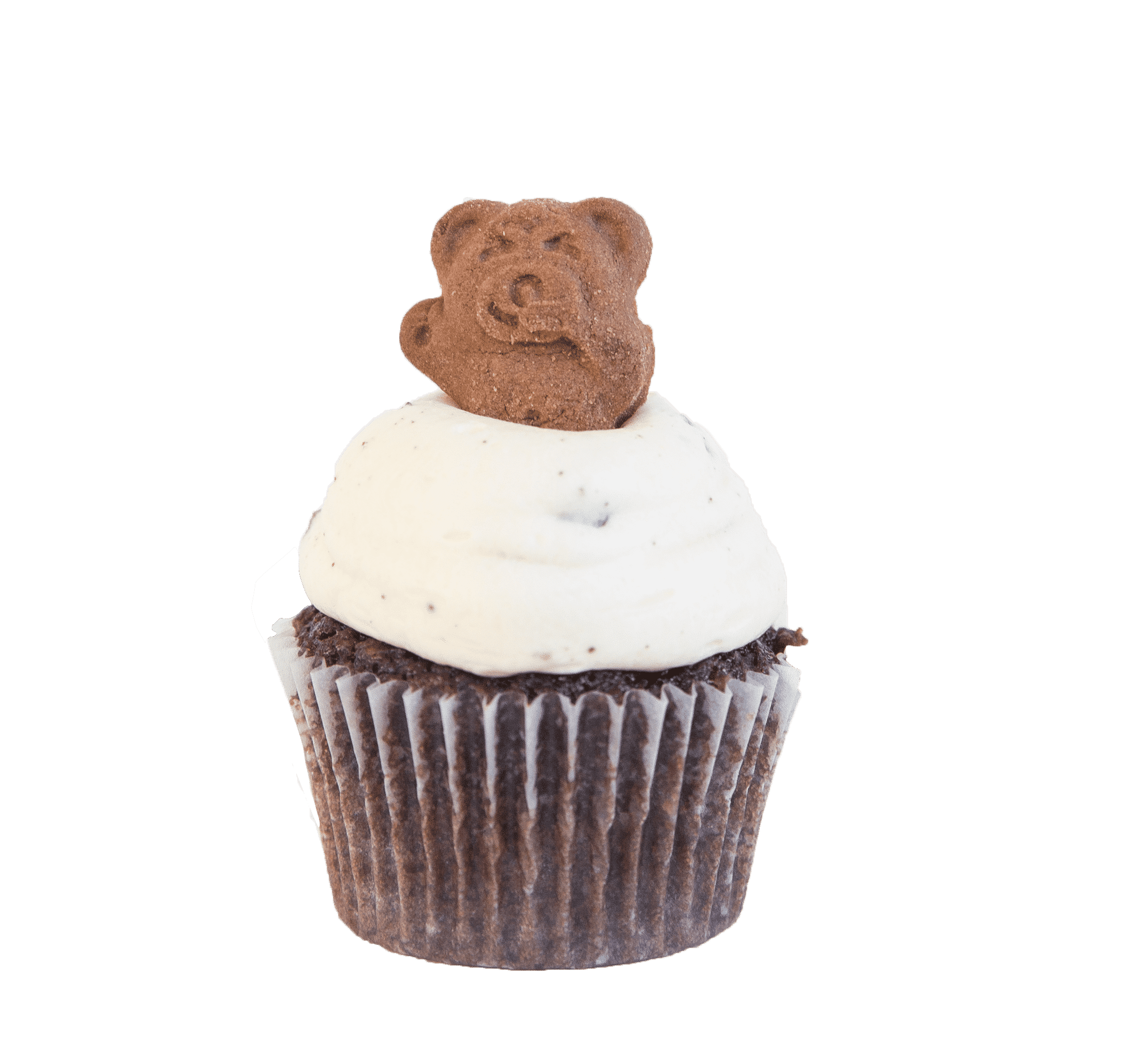 Tiny teddy cupcake